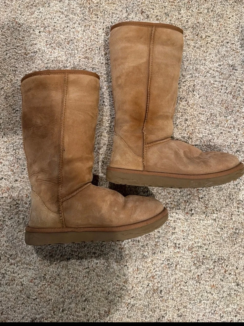 Ugg Tall Classic in Chestnut